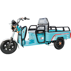 دراجة ثلاثية العجلات لنقل البضائع الكهربائية من النوع المسطح الصغير بسعر رخيص
