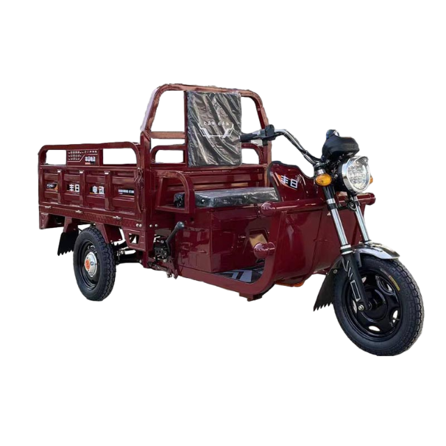 دراجة ثلاثية العجلات لنقل البضائع الكهربائية من سلسلة Dragon بقوة قوية