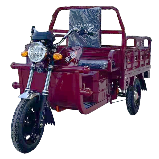 دراجة ثلاثية العجلات للركاب الكهربائية من Fengri مع بطارية ليثيوم حمض الرصاص